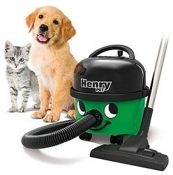 henry groen hond